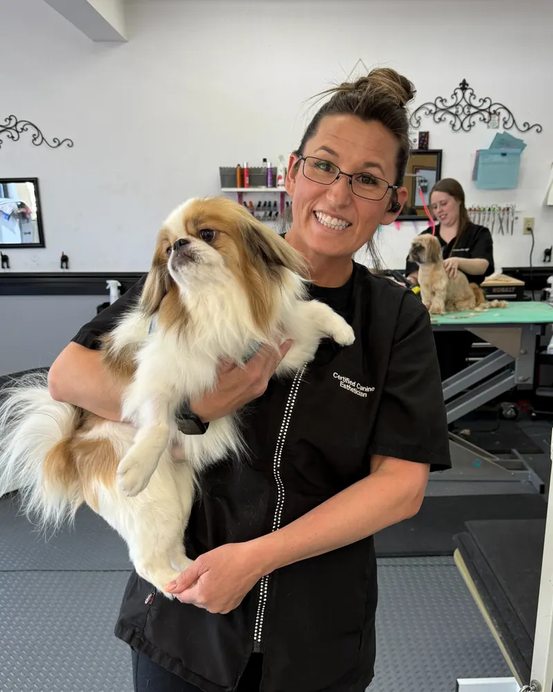 Chelsea holding a freshly groomed long-coated dog in the salon.