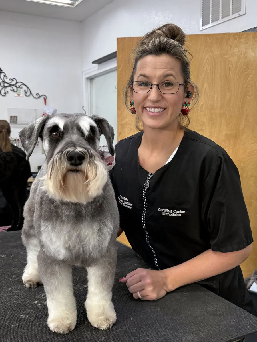 Chelsea, owner of Zuzu's Pet Spa, beside a freshly groomed Miniature Schnauzer.